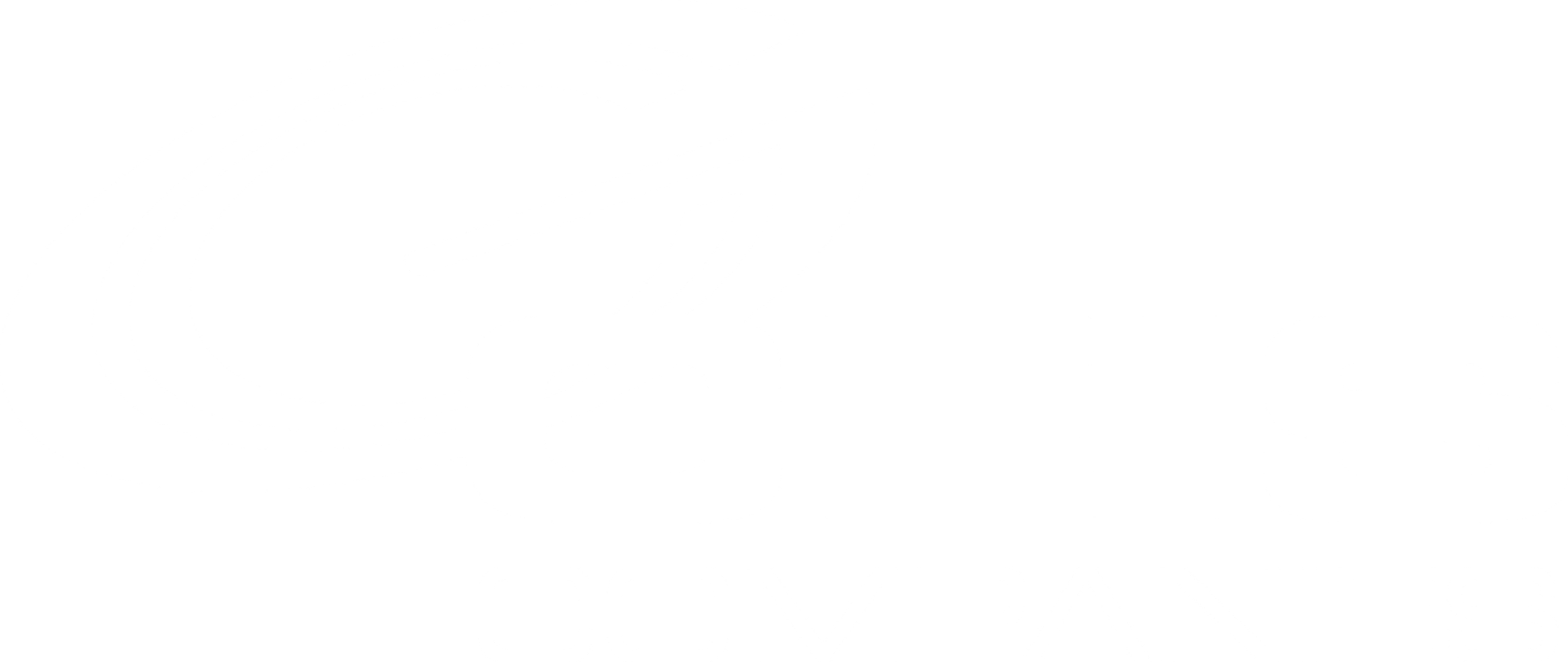 Geis Companies